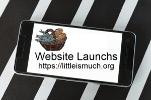 Website launches